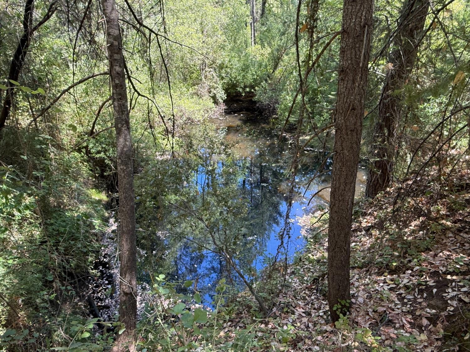 15473 Blind Shady Road Nevada City, CA 95959 - Photo 22 of 24 a view of a house in a forest