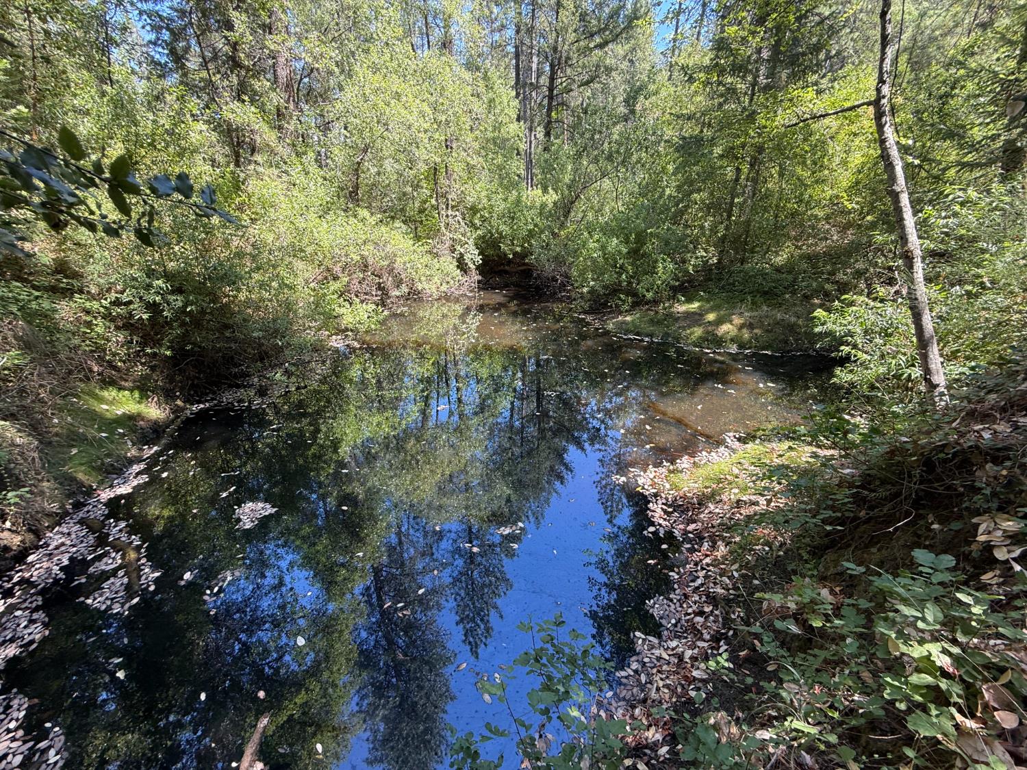 15473 Blind Shady Road Nevada City, CA 95959 - Photo 23 of 24 a view of a lake in middle of forest