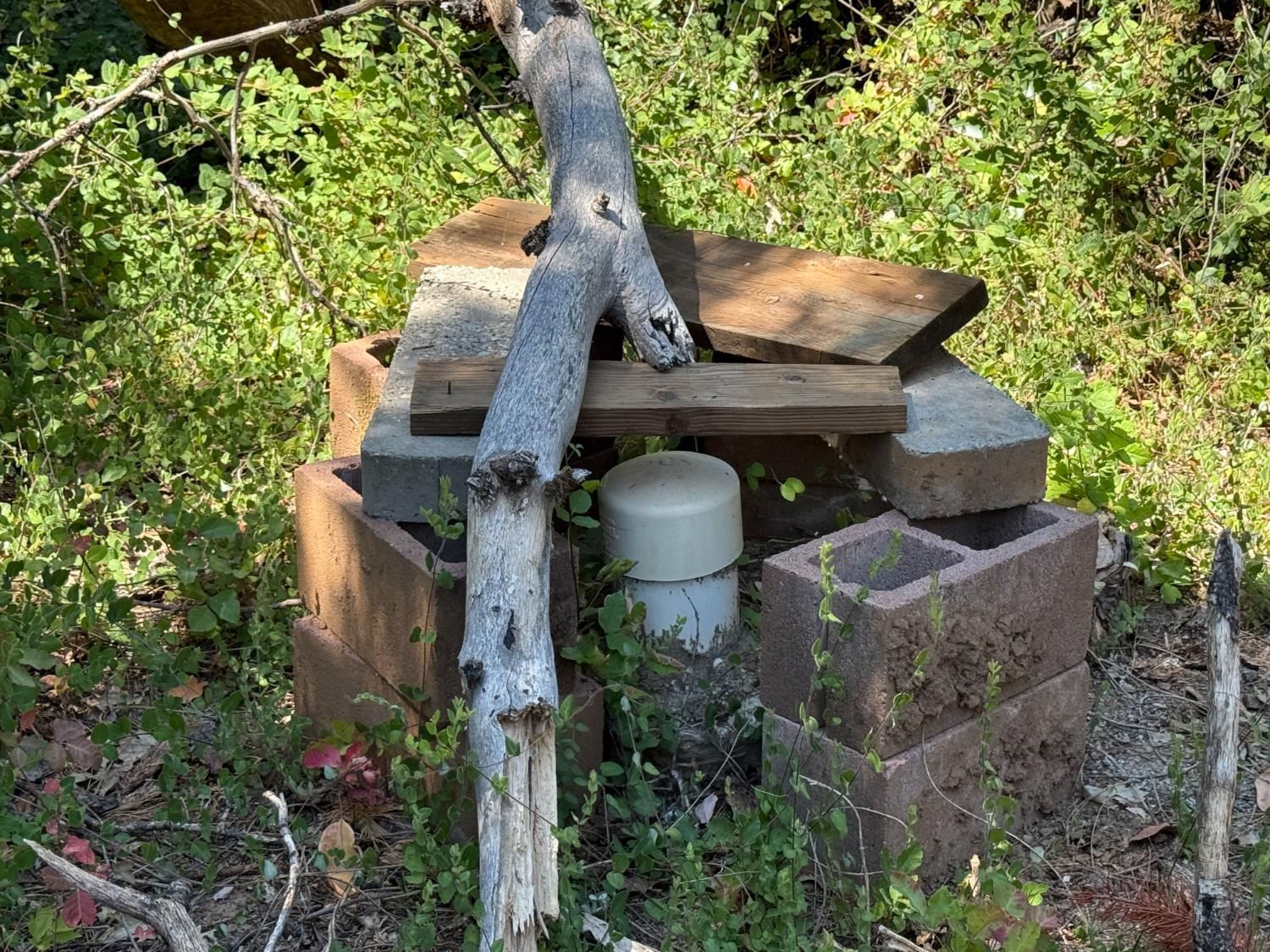 15473 Blind Shady Road Nevada City, CA 95959 - Photo 3 of 24 an aerial view of a house with a yard