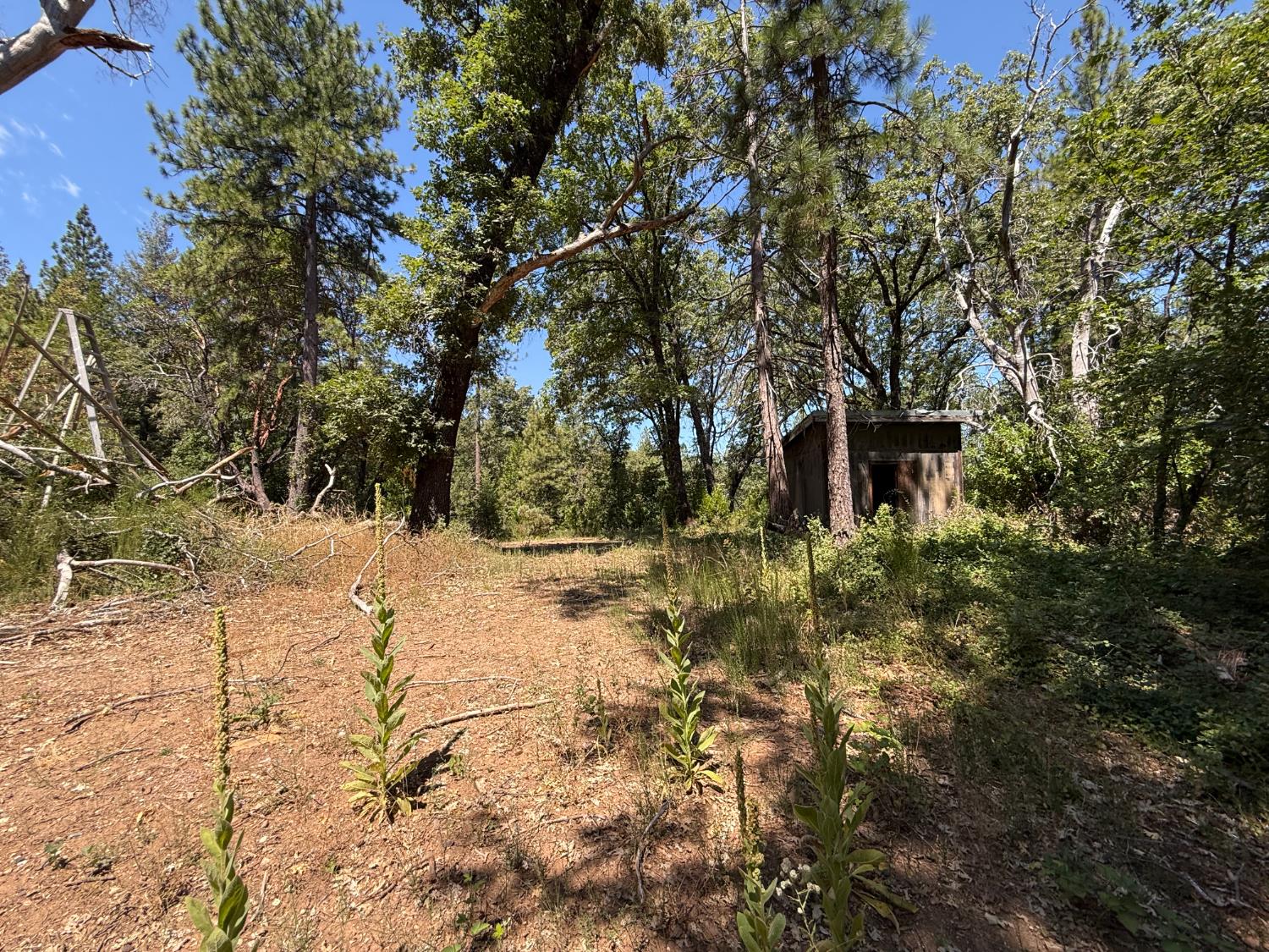 15473 Blind Shady Road Nevada City, CA 95959 - Photo 8 of 24 a view of outdoor space and yard