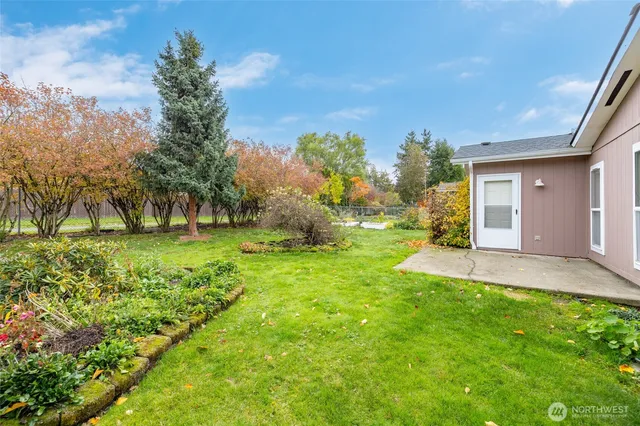 a view of a backyard with large trees