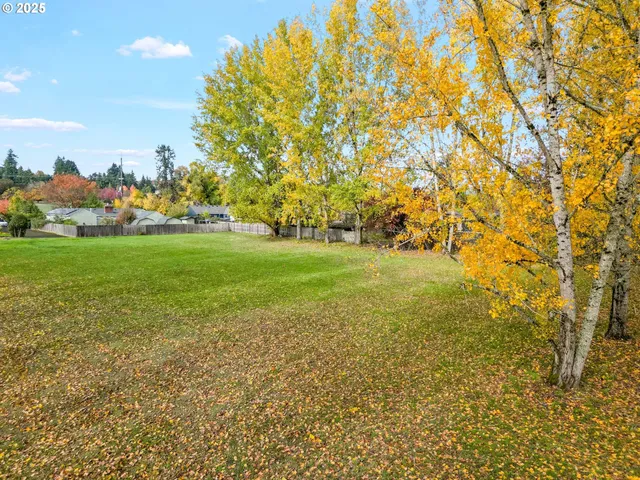 a view of a trees and yard in front of the house