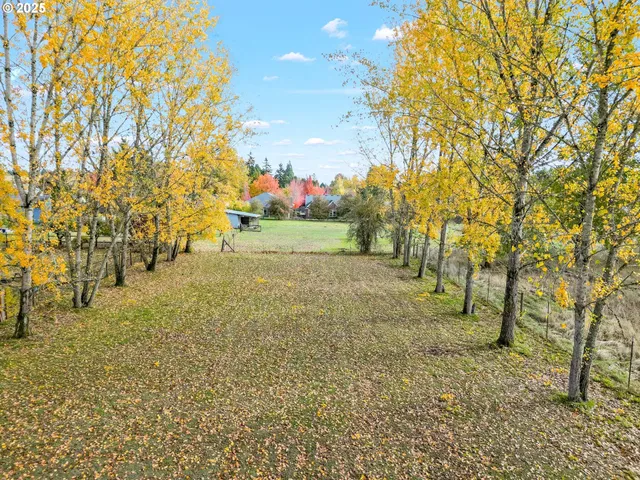 a view of yard with tree and wooden fence