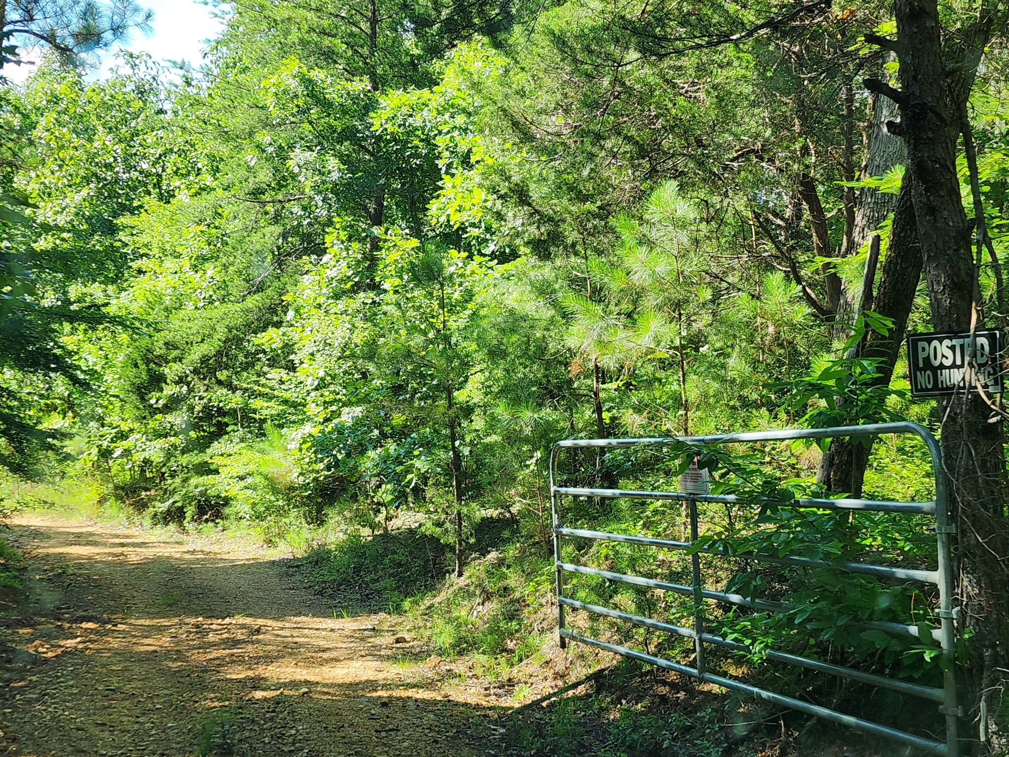 0 Sinking Creek Road Linden, TN 37096 - Photo 2 of 23