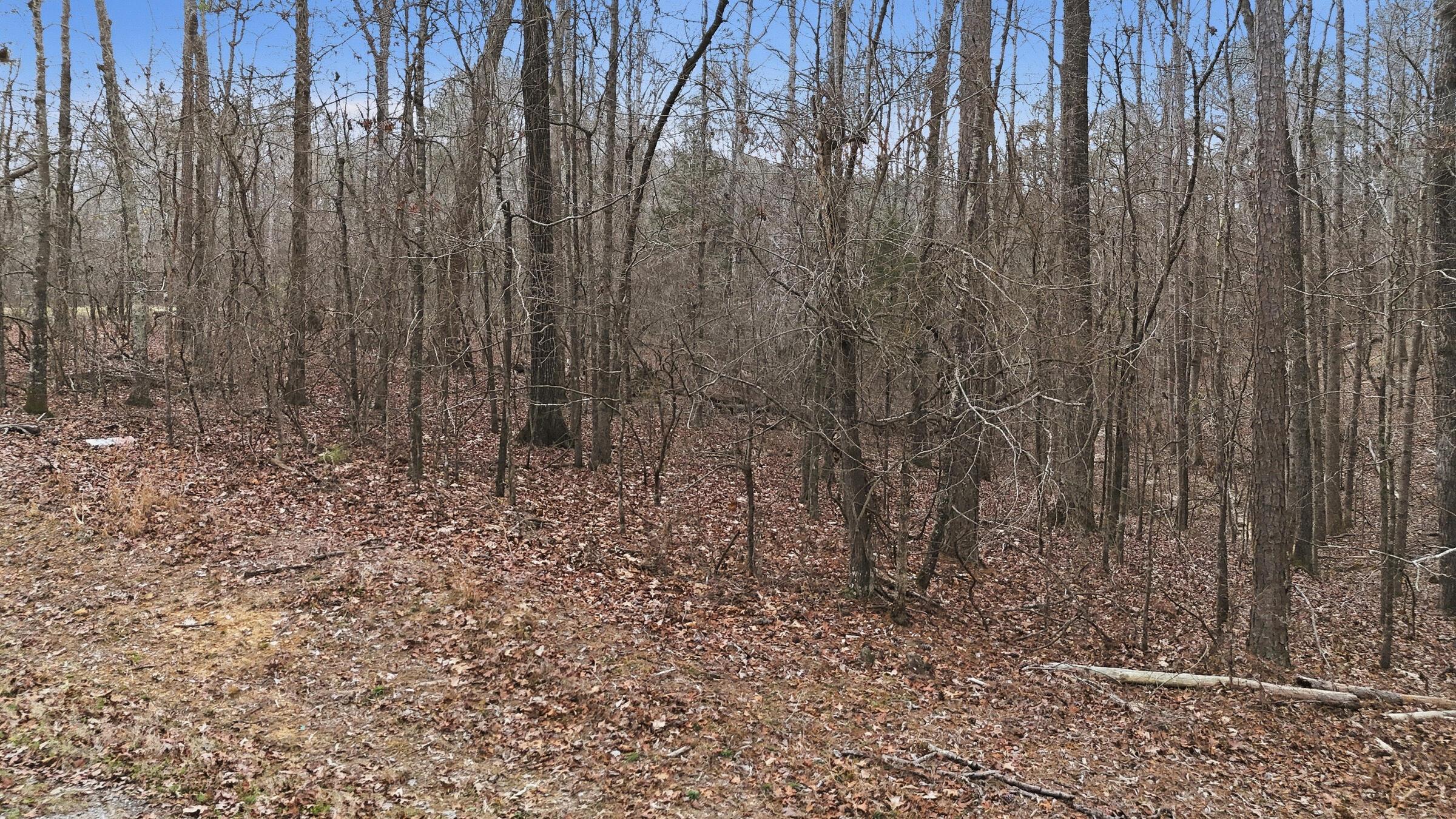 Harbor Loop Jasper, AL 35504 - Photo 3 of 17 Harbor_013_(2400)