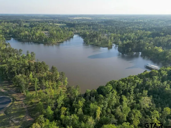 a view of a lake in middle of forest