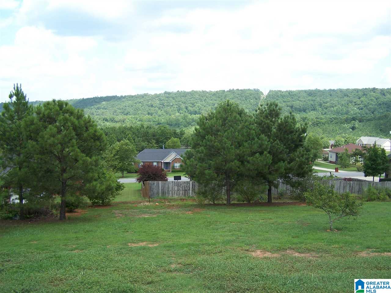 820 Ransome Drive, Unit 33 Oneonta, AL 35121 - Photo 21 of 24