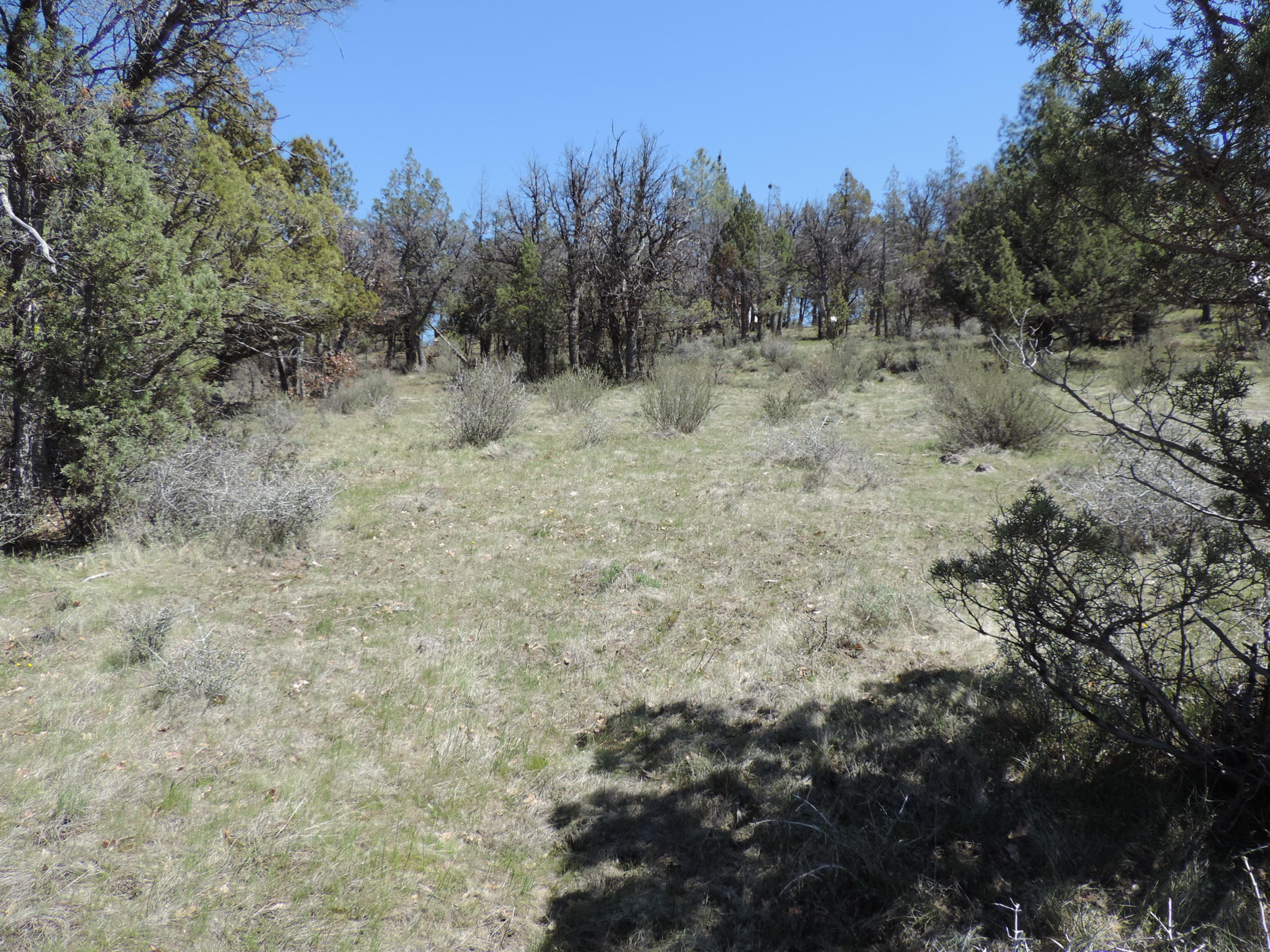 Lot 48 Natchez Court Fall River Mills, CA 96028 - Photo 11 of 18