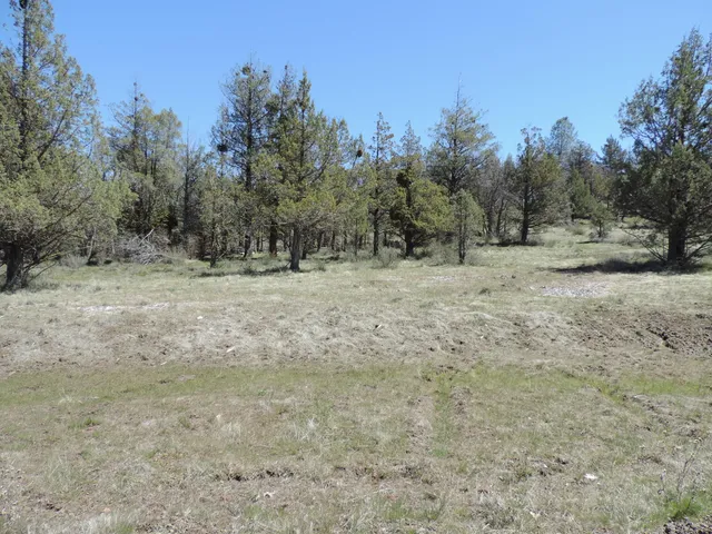 $59,000 | Lot 48 Natchez Court, Fall River Mills, CA 96028