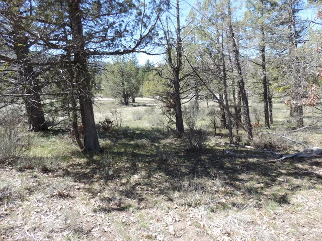 a view of outdoor space with trees
