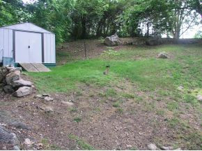 170 Arwood Hill Road Hampton, TN 37658 - Photo 3 of 9 Photo 3