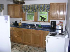 170 Arwood Hill Road Hampton, TN 37658 - Photo 6 of 9 Photo 6