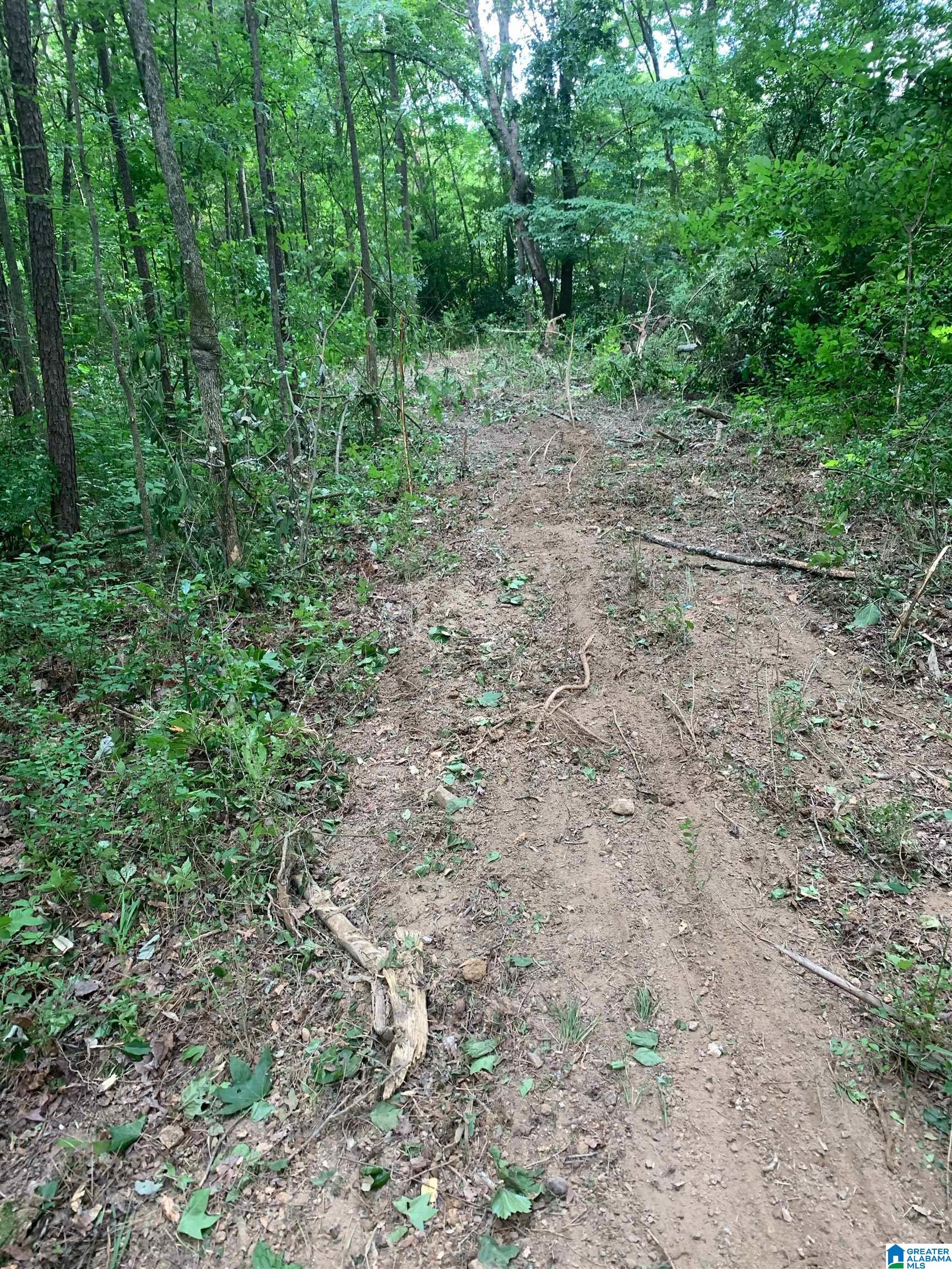 0 Highway 33 Pelham, AL 35124 - Photo 3 of 4