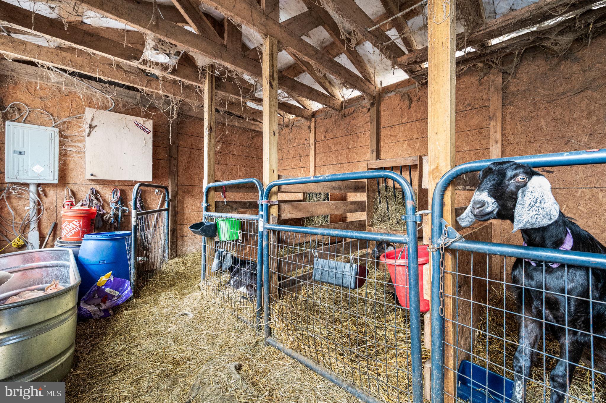 1286 Old Schuylkill Road Spring City, PA 19475 - Photo 6 of 15