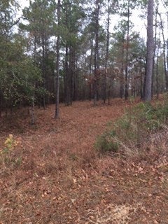 2049 Richland Road Auburn, AL 36832 - Photo 2 of 4 Gallery Image 2
