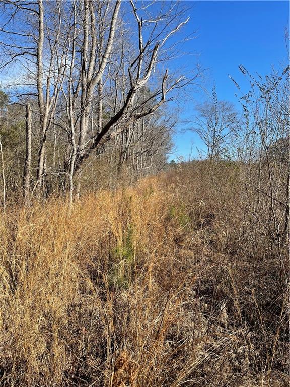 A Johnson Lake Road, Unit 0A Cedartown, GA 30125 - Photo 18 of 19 a view of a yard in a forest
