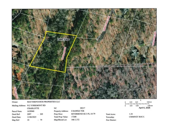 a black and white photo of a tree