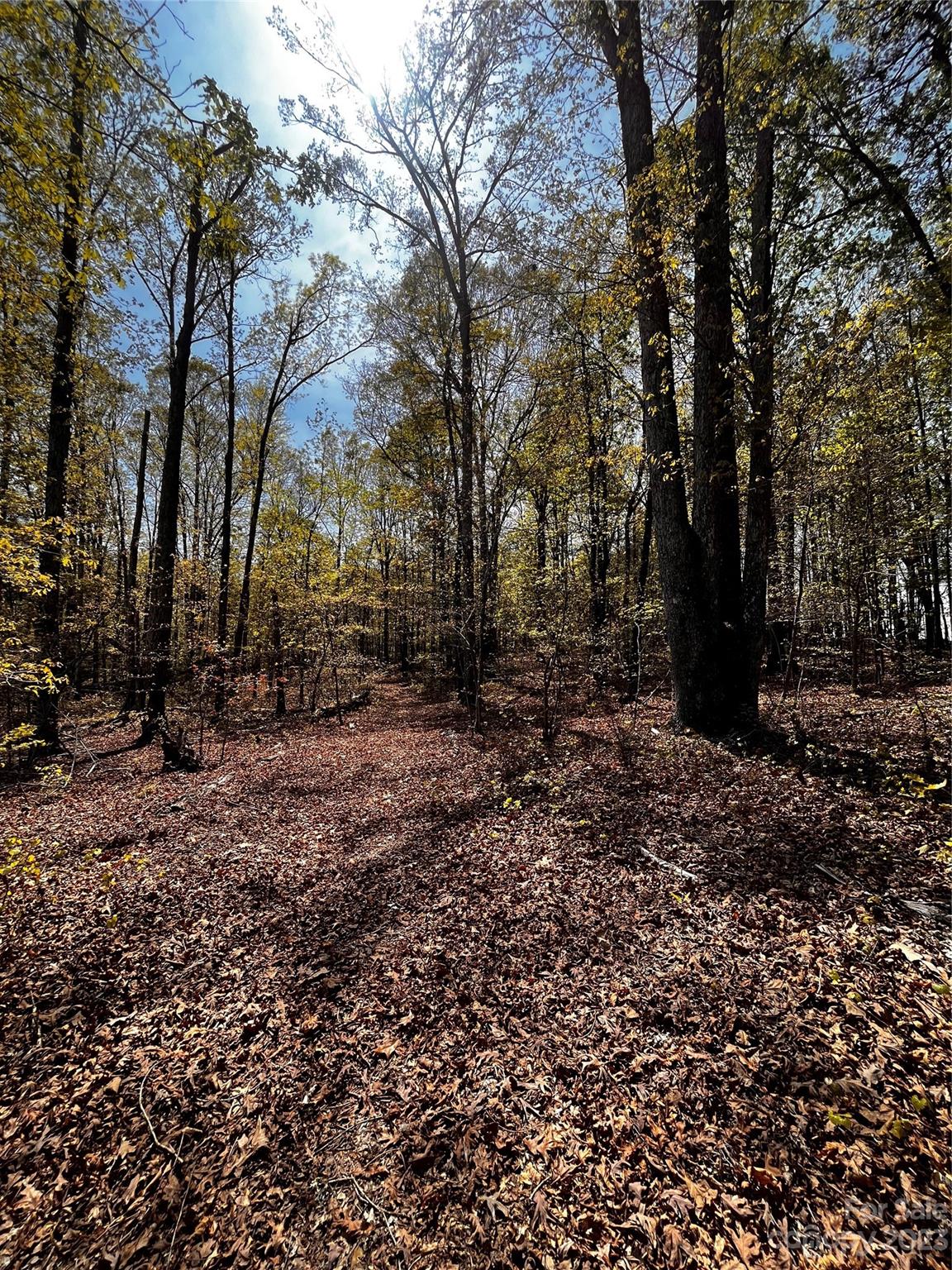 593 Hilltop Road Stanfield, NC 28163 - Photo 13 of 45 Gallery Image 13