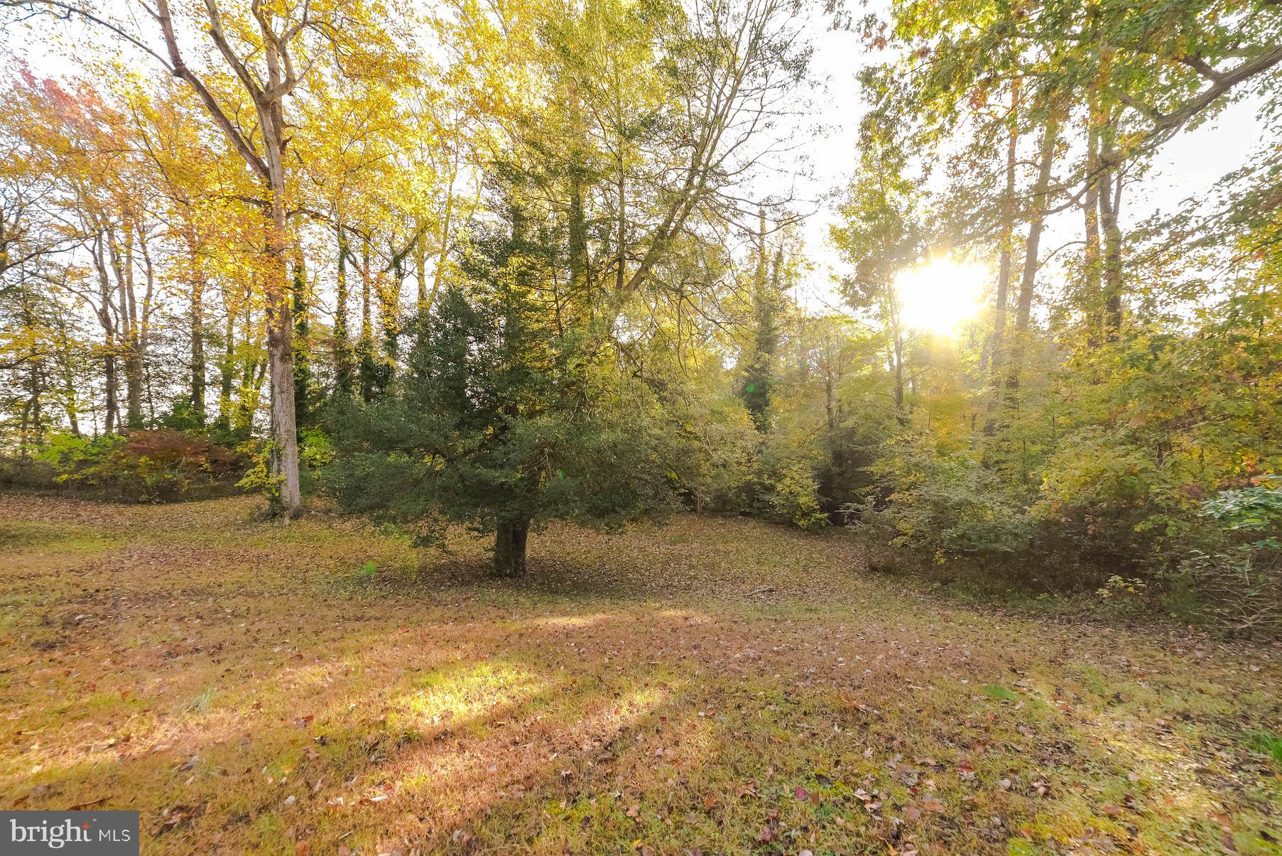 25137 Nolan Road Hollywood, MD 20636 - Photo 21 of 32 Gallery Image 21