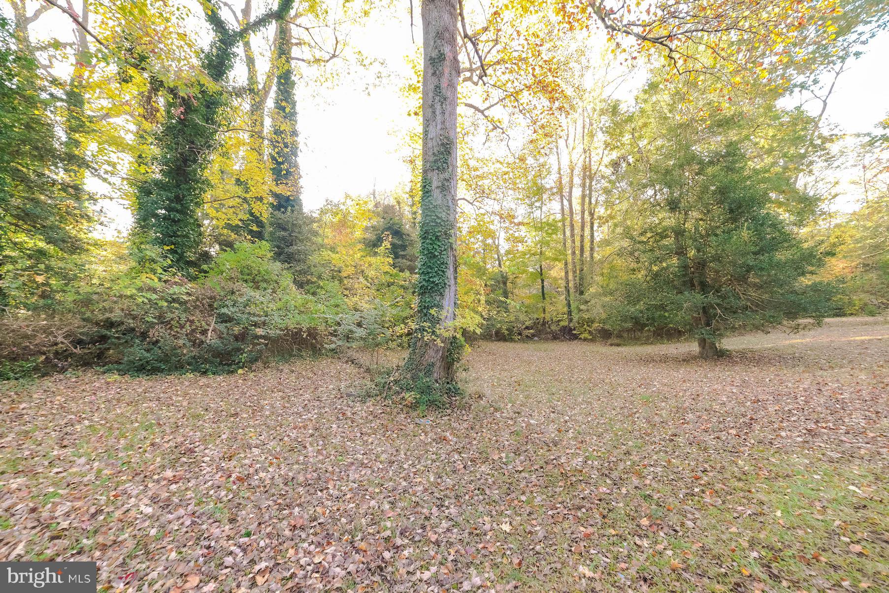 25137 Nolan Road Hollywood, MD 20636 - Photo 23 of 32 Gallery Image 23