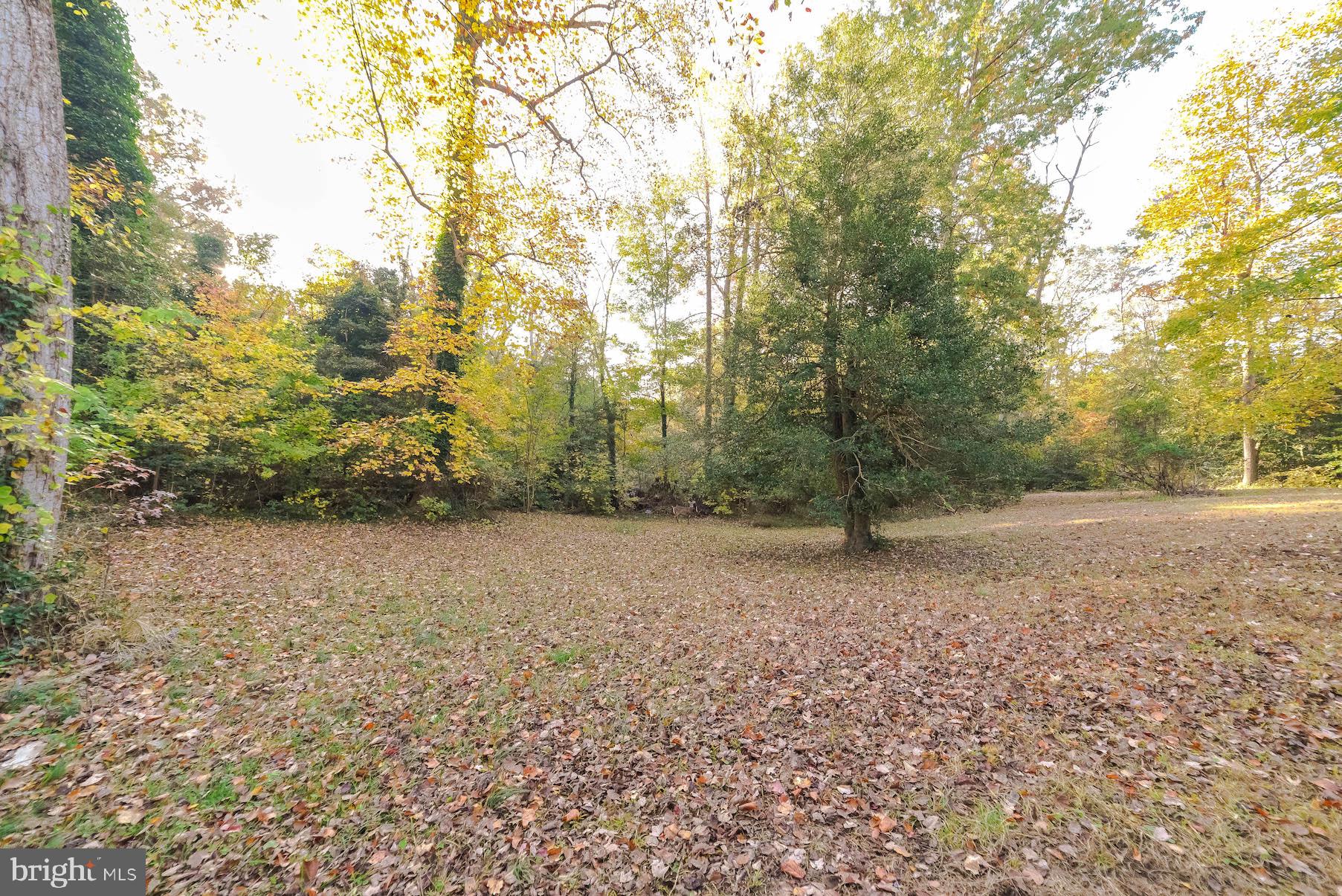 25137 Nolan Road Hollywood, MD 20636 - Photo 24 of 32 Gallery Image 24