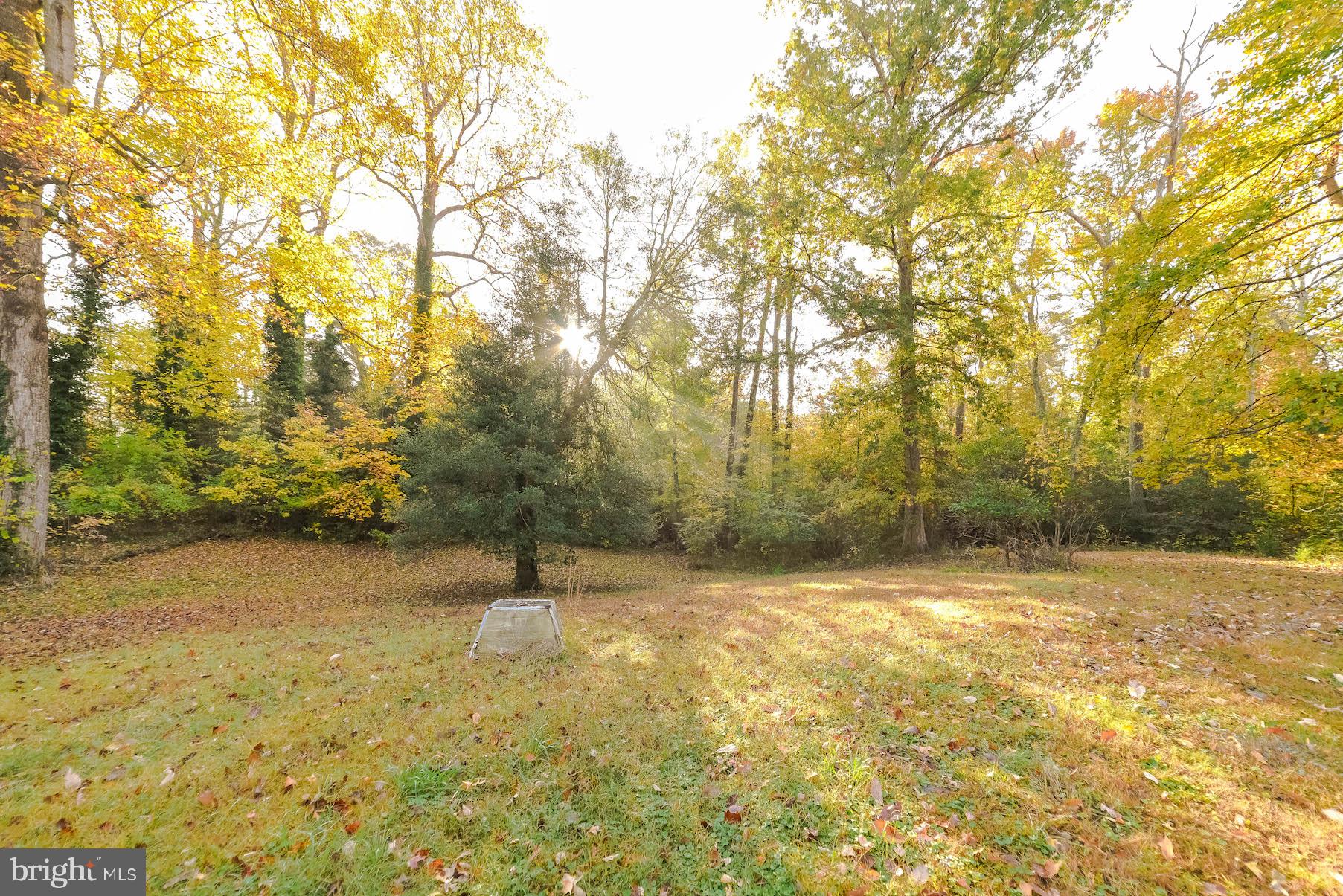 25137 Nolan Road Hollywood, MD 20636 - Photo 31 of 32 Gallery Image 31