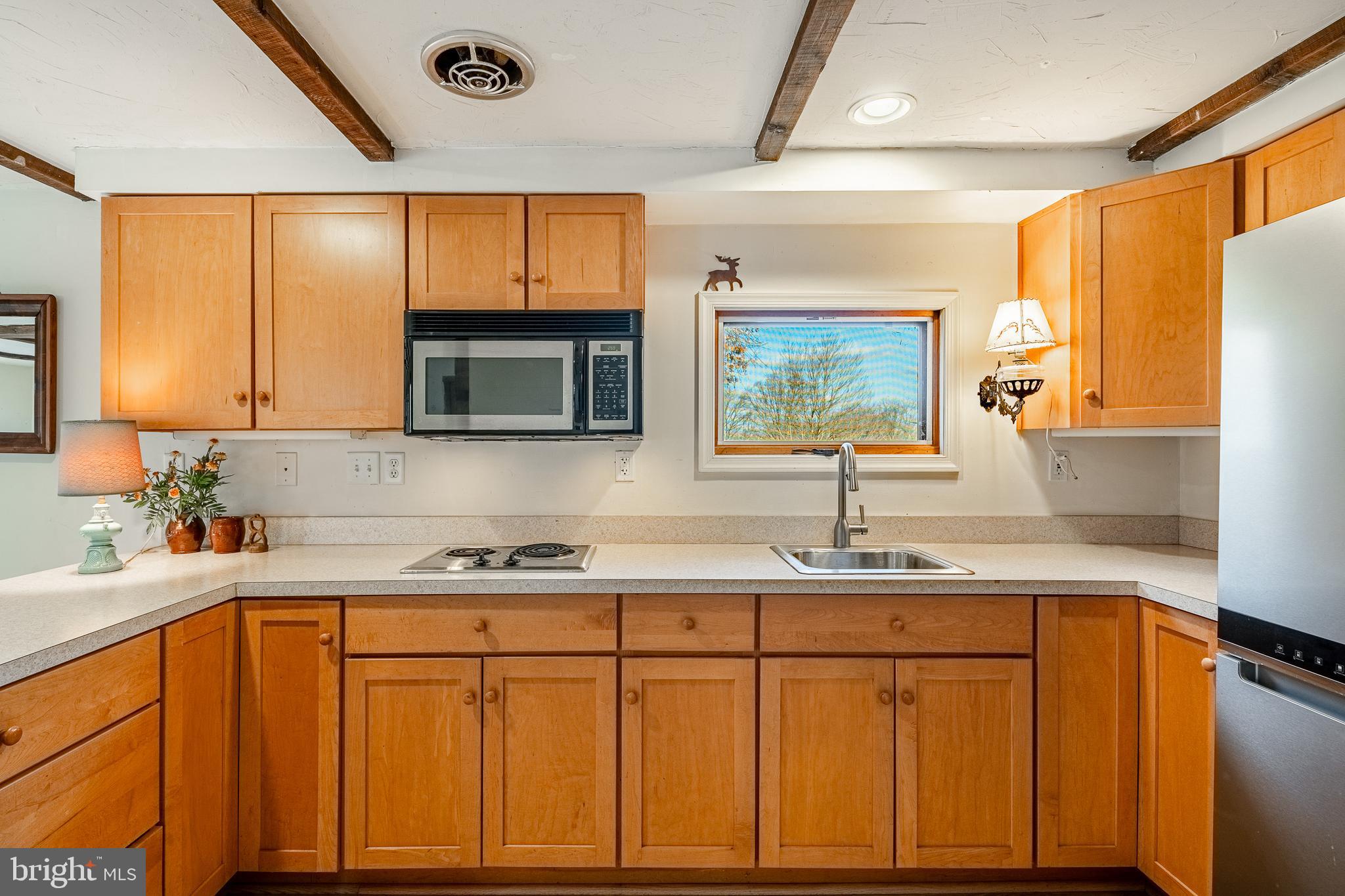 329 Ivy Mills Road Glen Mills, PA 19342 - Photo 59 of 75 Pool House Kitchen