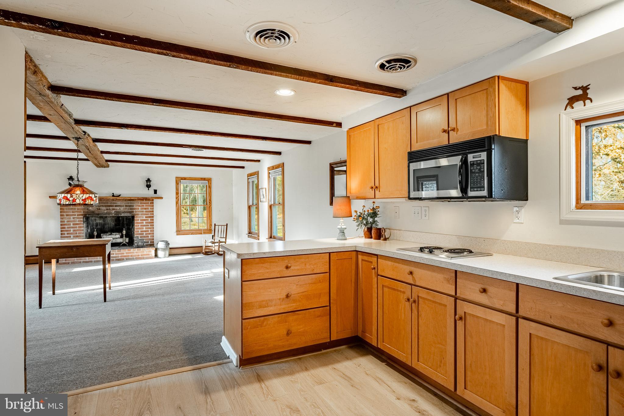 329 Ivy Mills Road Glen Mills, PA 19342 - Photo 60 of 75 Pool House Kitchen