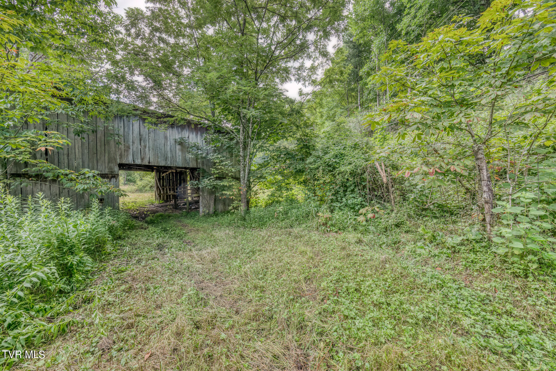 Tbd Miller Road Trade, TN 37691 - Photo 11 of 41 TBD Miller Rd-16