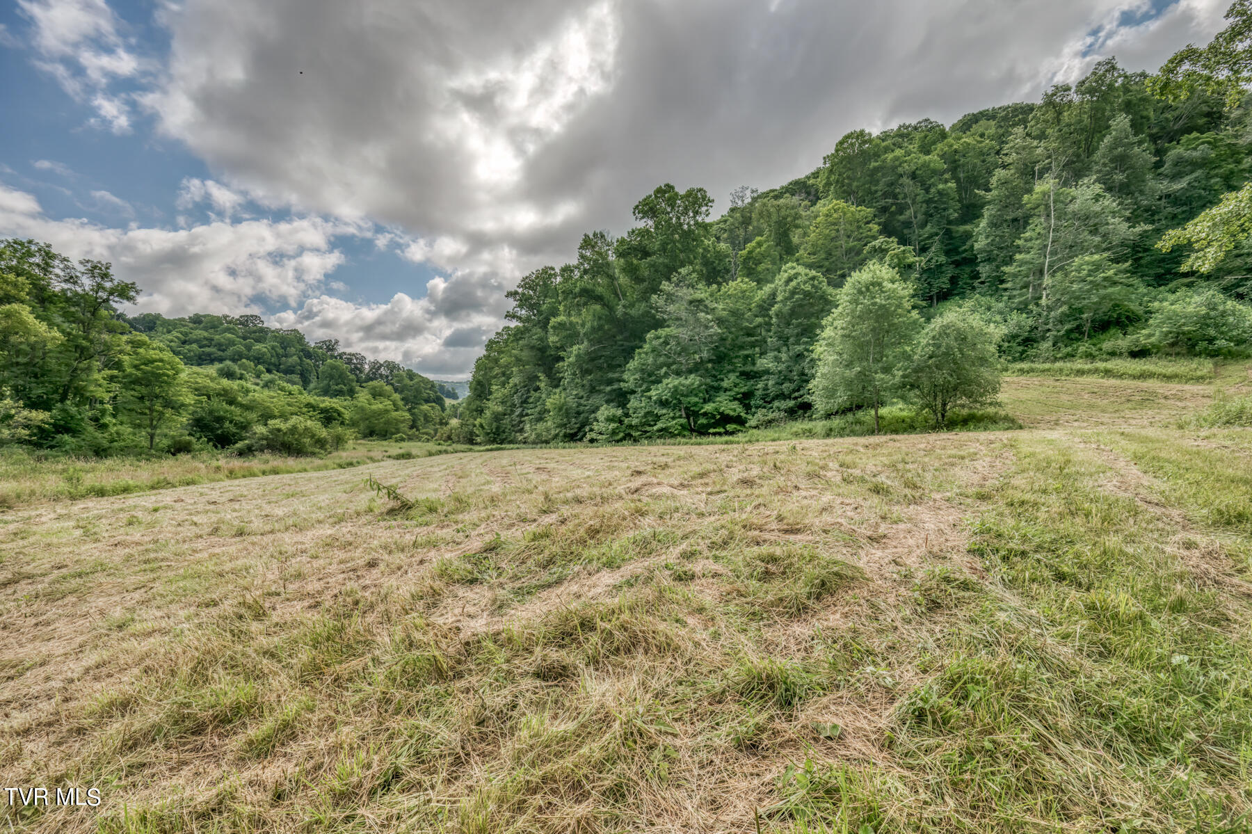 Tbd Miller Road Trade, TN 37691 - Photo 12 of 41 TBD Miller Rd-17