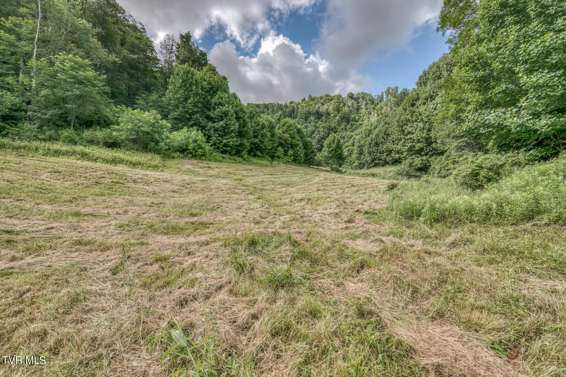 Tbd Miller Road Trade, TN 37691 - Photo 13 of 41 TBD Miller Rd-18