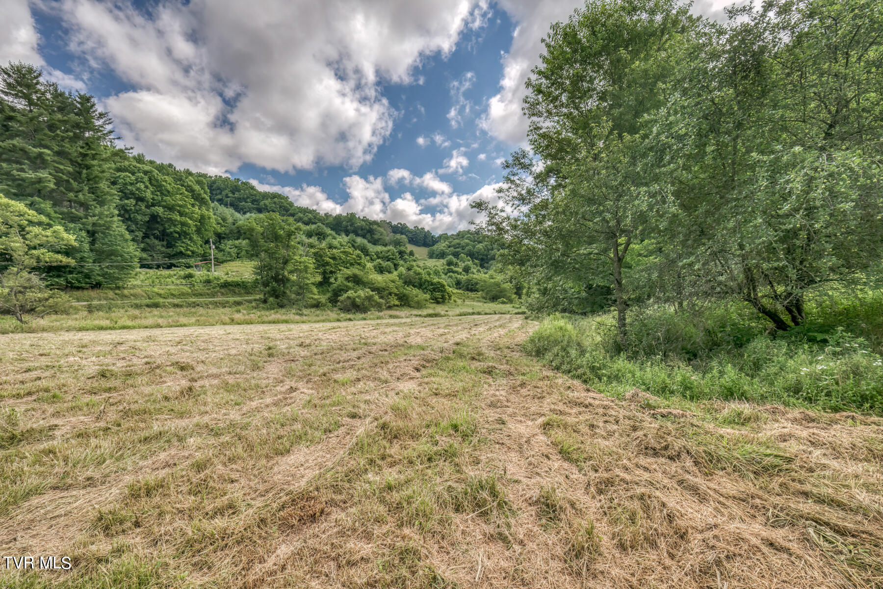 Tbd Miller Road Trade, TN 37691 - Photo 14 of 41 TBD Miller Rd-19