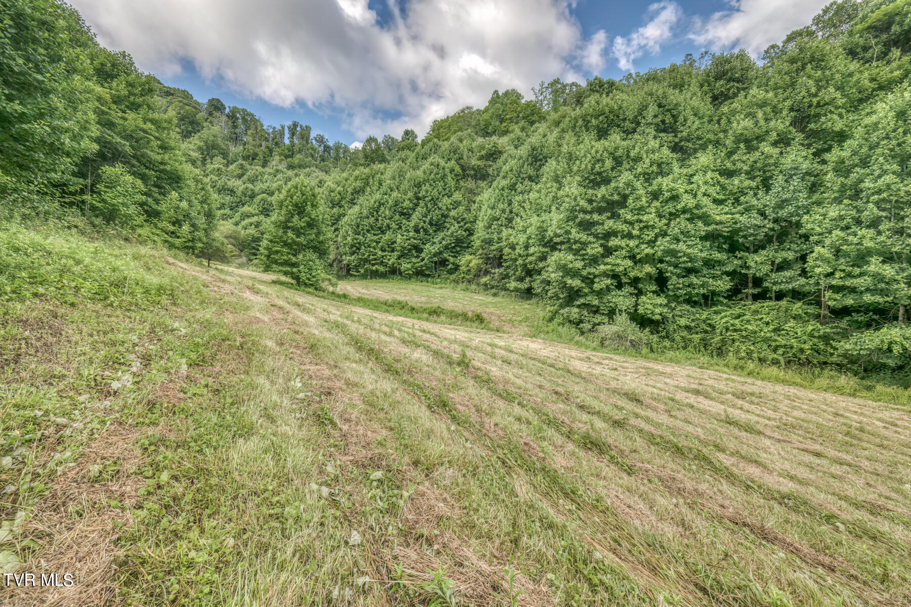 Tbd Miller Road Trade, TN 37691 - Photo 15 of 41 TBD Miller Rd-20
