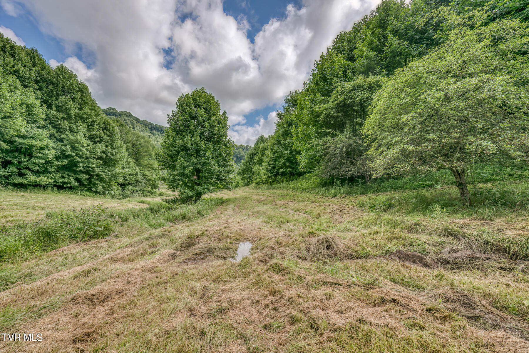 Tbd Miller Road Trade, TN 37691 - Photo 16 of 41 TBD Miller Rd-21