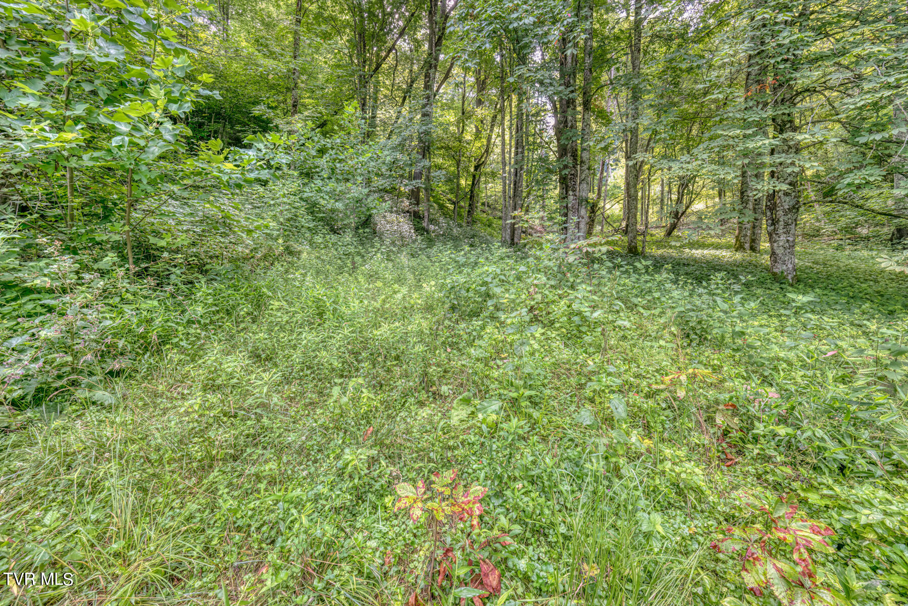 Tbd Miller Road Trade, TN 37691 - Photo 19 of 41 TBD Miller Rd-24