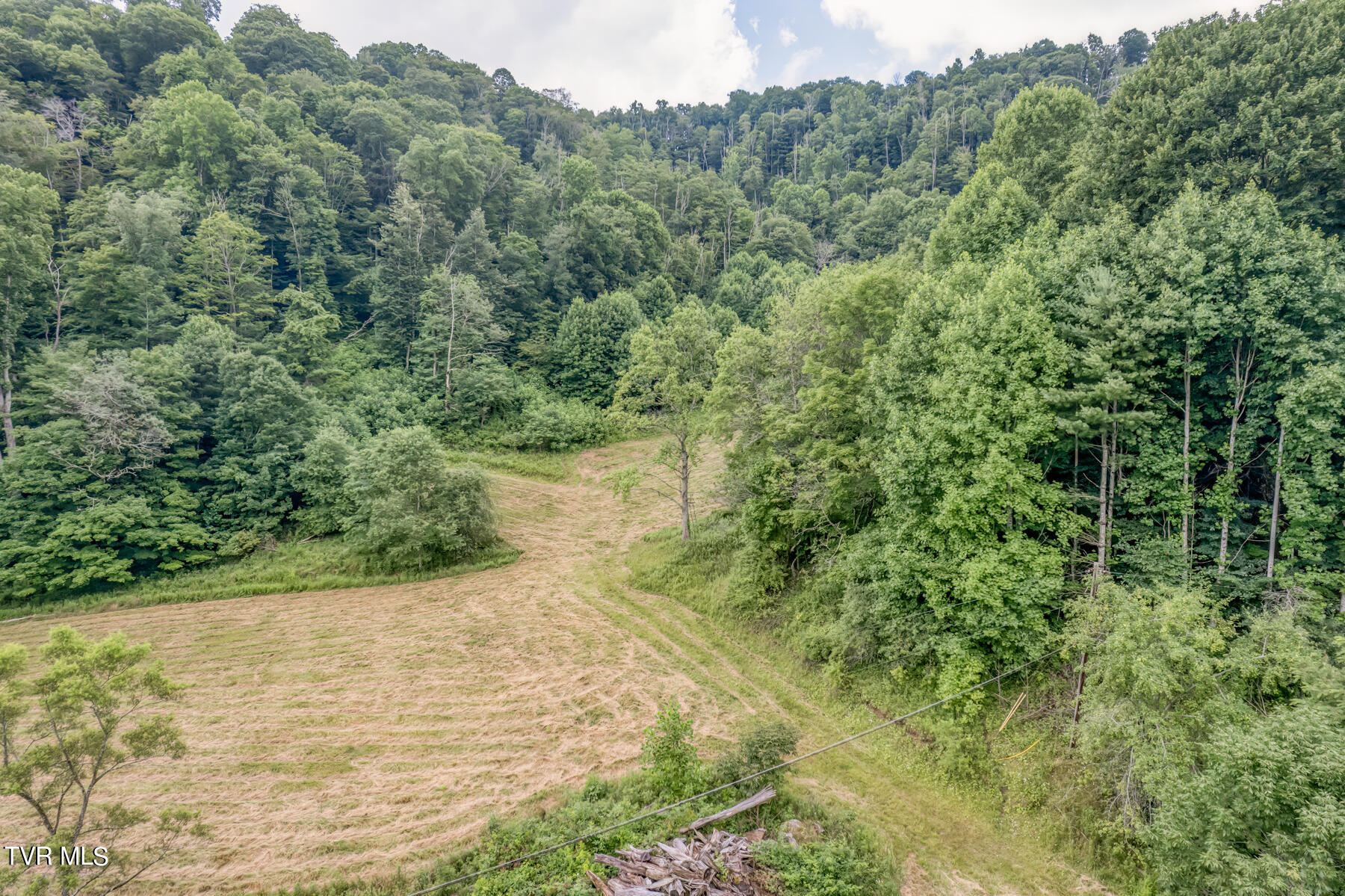 Tbd Miller Road Trade, TN 37691 - Photo 2 of 41 TBD Miller Rd-7