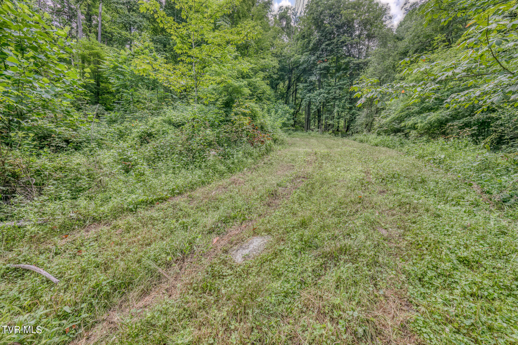 Tbd Miller Road Trade, TN 37691 - Photo 22 of 41 TBD Miller Rd-27