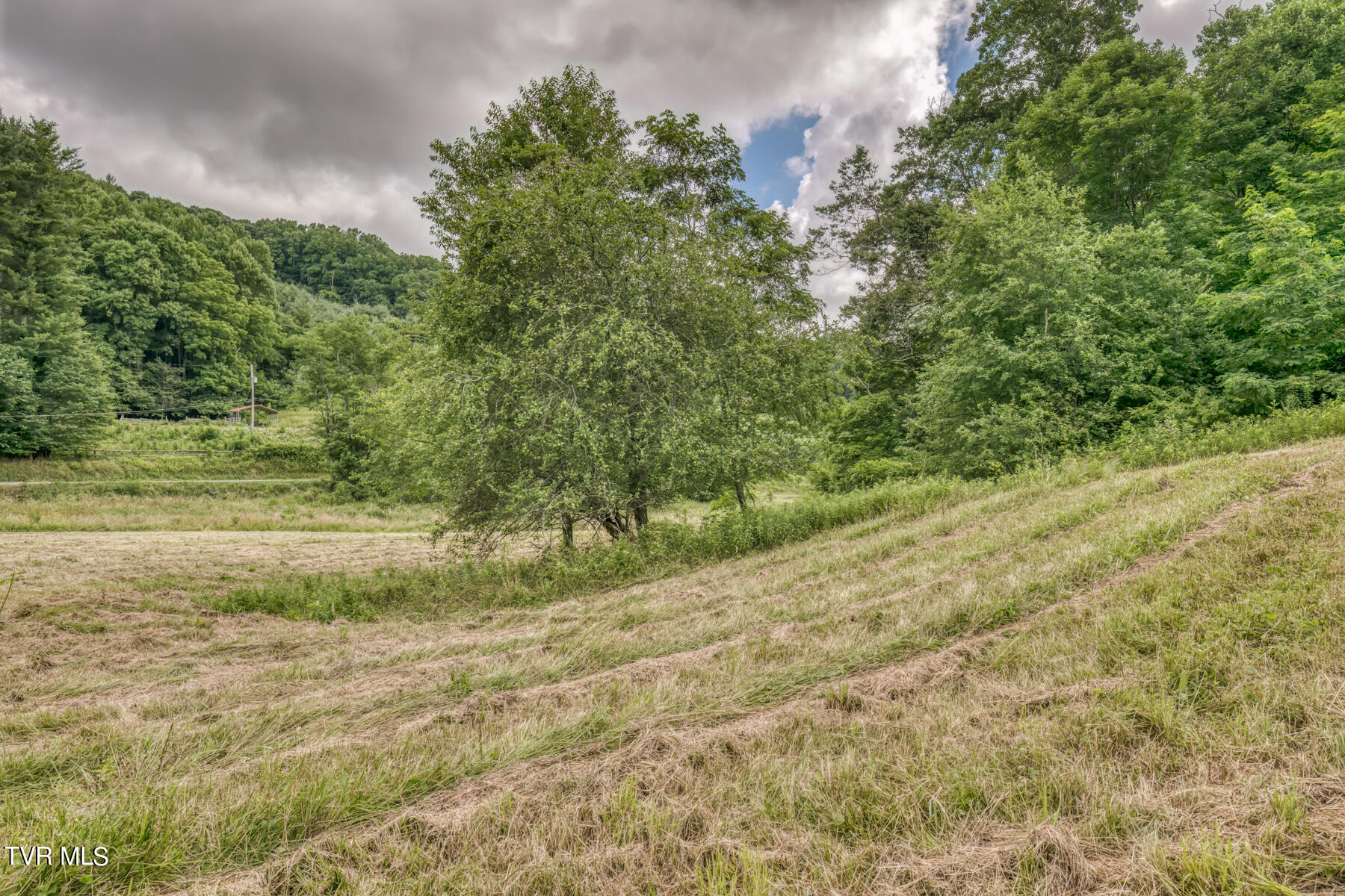 Tbd Miller Road Trade, TN 37691 - Photo 25 of 41 TBD Miller Rd-30