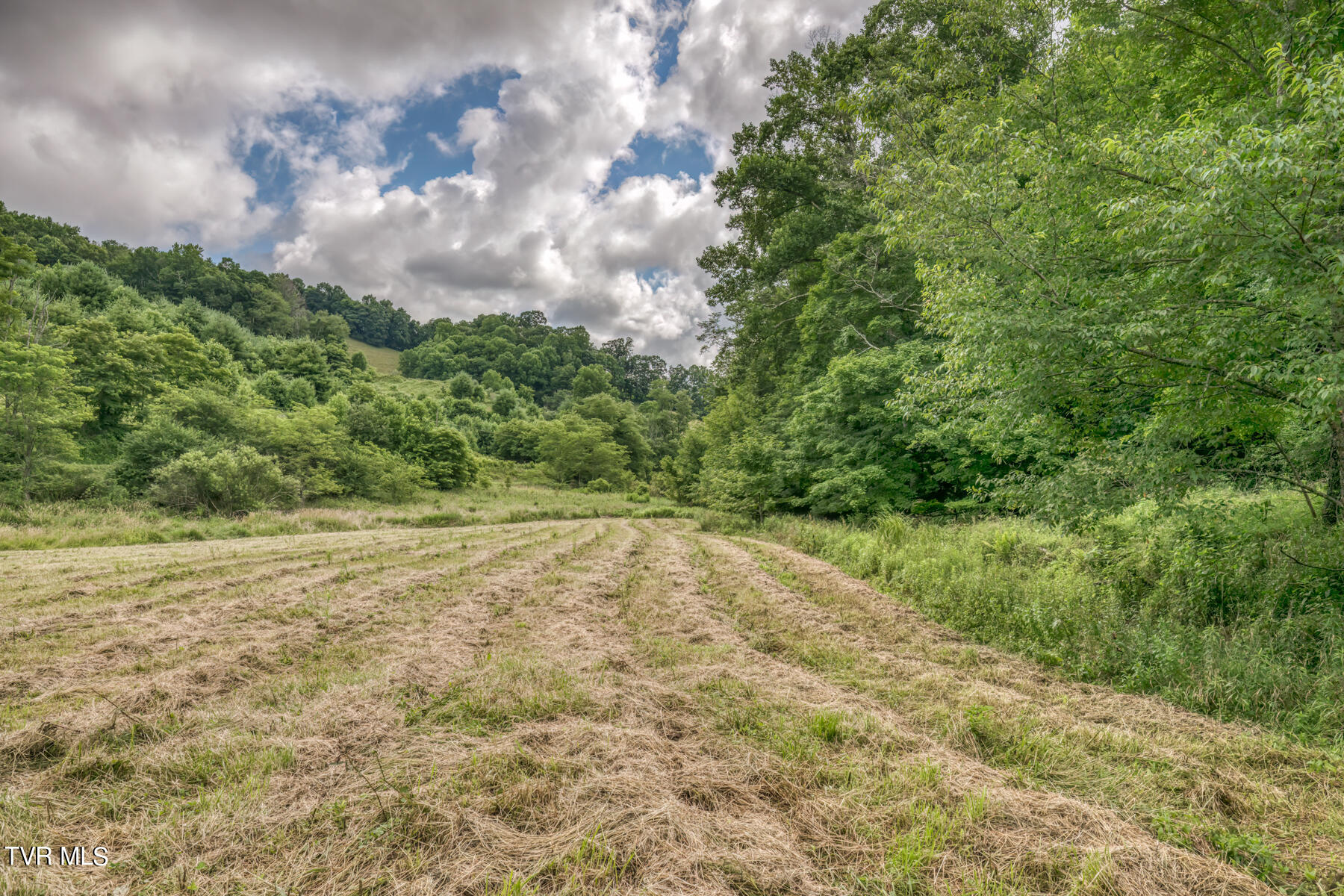 Tbd Miller Road Trade, TN 37691 - Photo 26 of 41 TBD Miller Rd-31