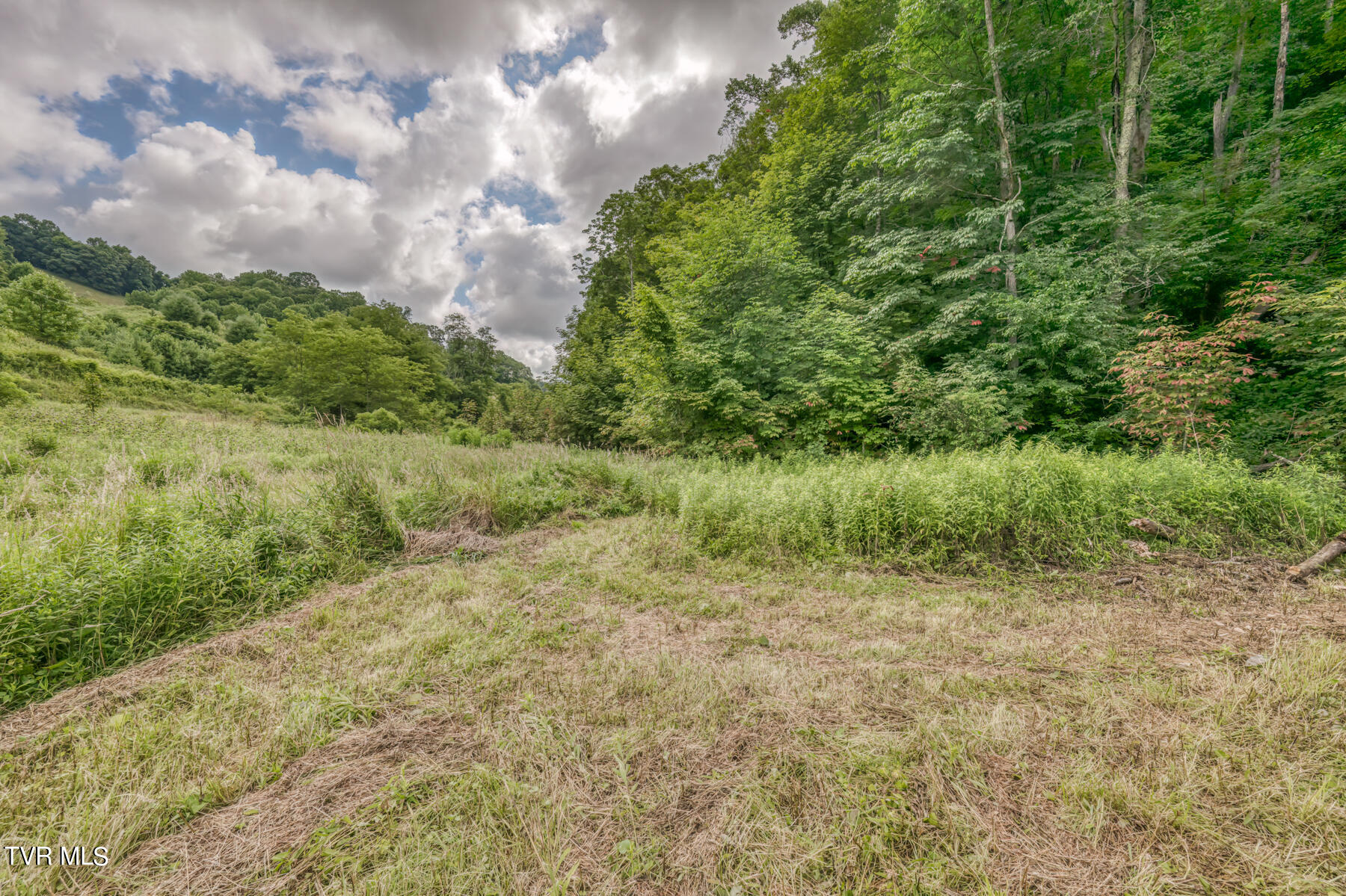 Tbd Miller Road Trade, TN 37691 - Photo 28 of 41 TBD Miller Rd-33