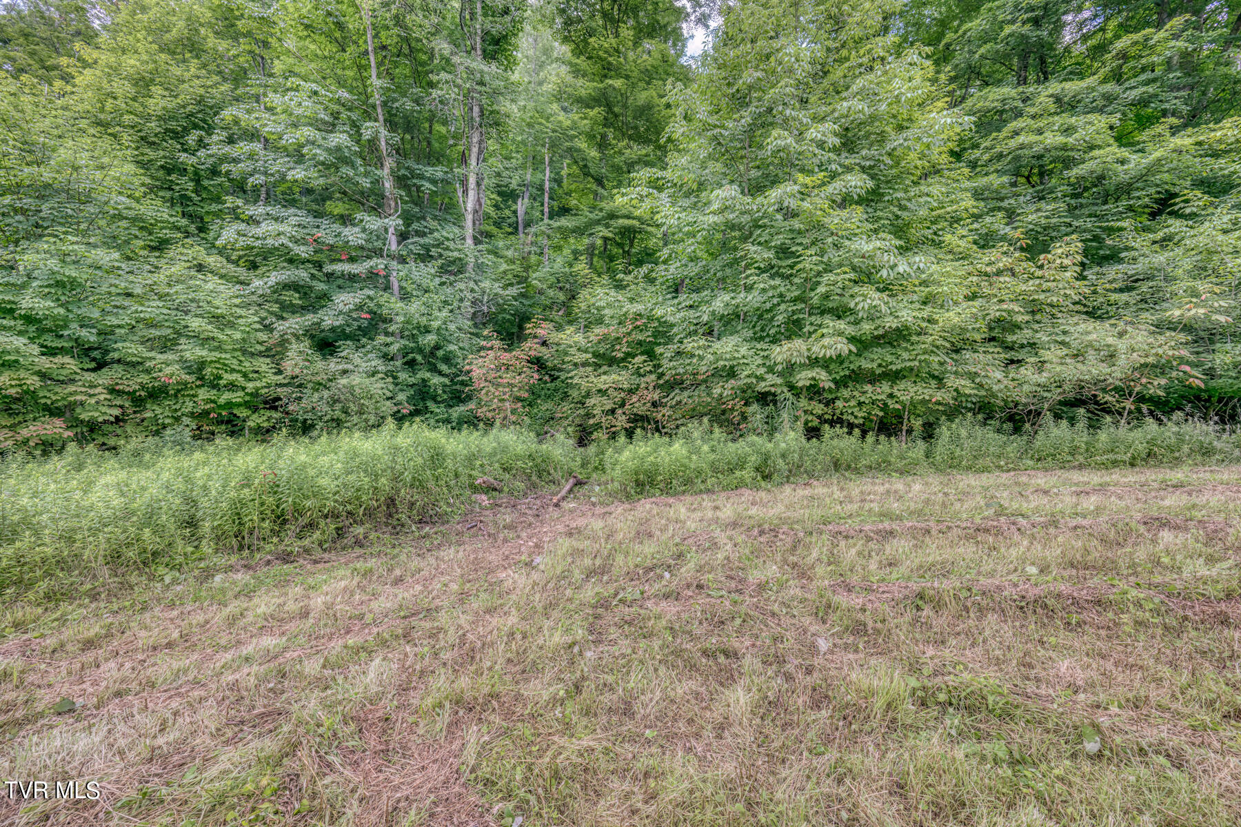 Tbd Miller Road Trade, TN 37691 - Photo 29 of 41 TBD Miller Rd-34