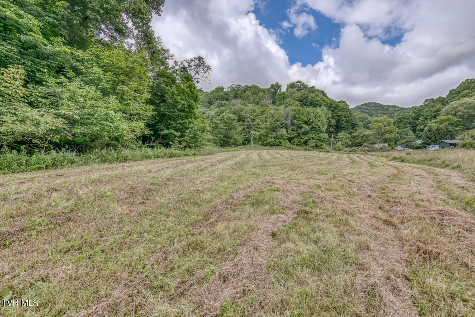 Tbd Miller Road Trade, TN 37691 - Photo 30 of 41 TBD Miller Rd-35