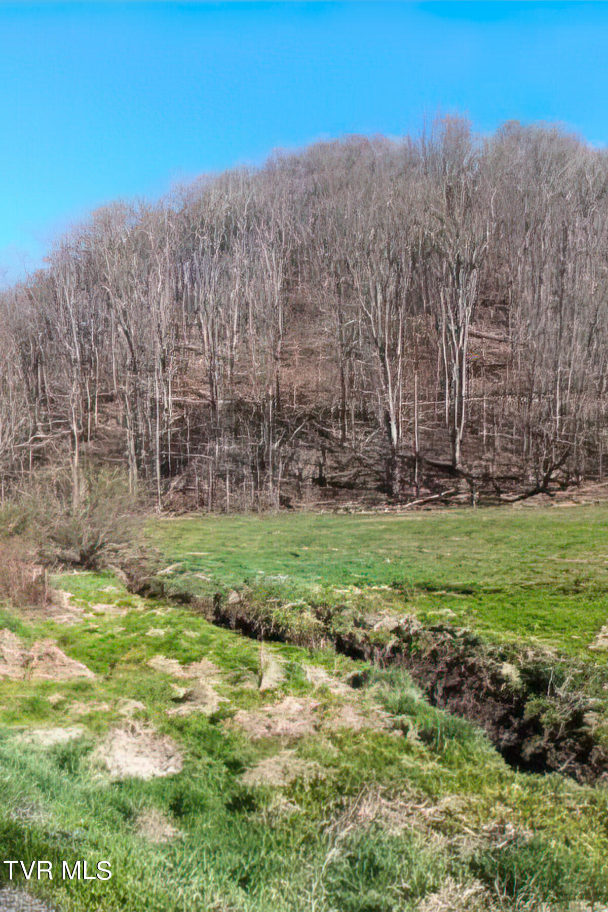 Tbd Miller Road Trade, TN 37691 - Photo 31 of 41 TBD Miller Rd-36