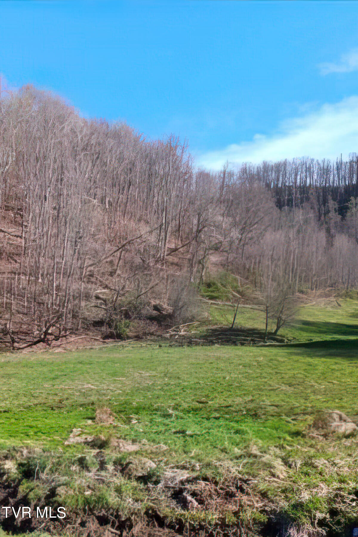 Tbd Miller Road Trade, TN 37691 - Photo 32 of 41 TBD Miller Rd-37