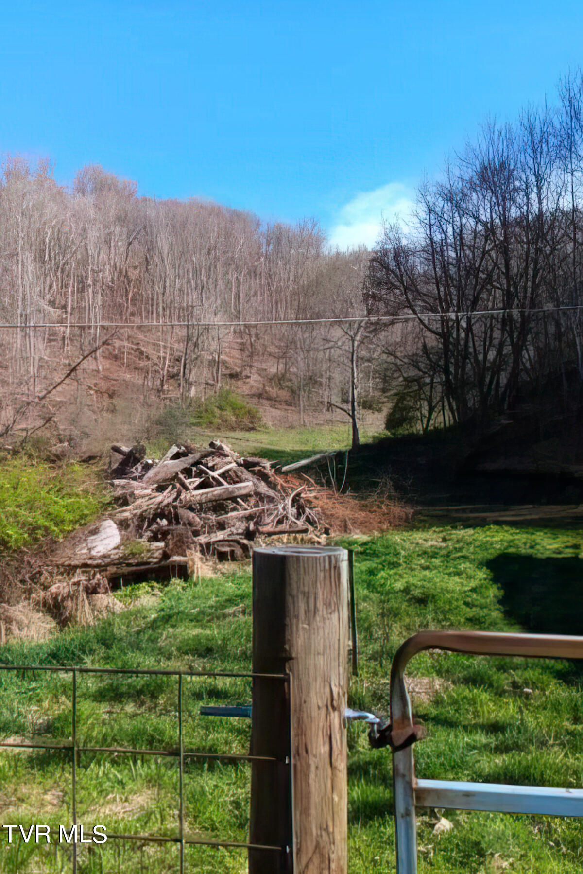 Tbd Miller Road Trade, TN 37691 - Photo 35 of 41 TBD Miller Rd-40