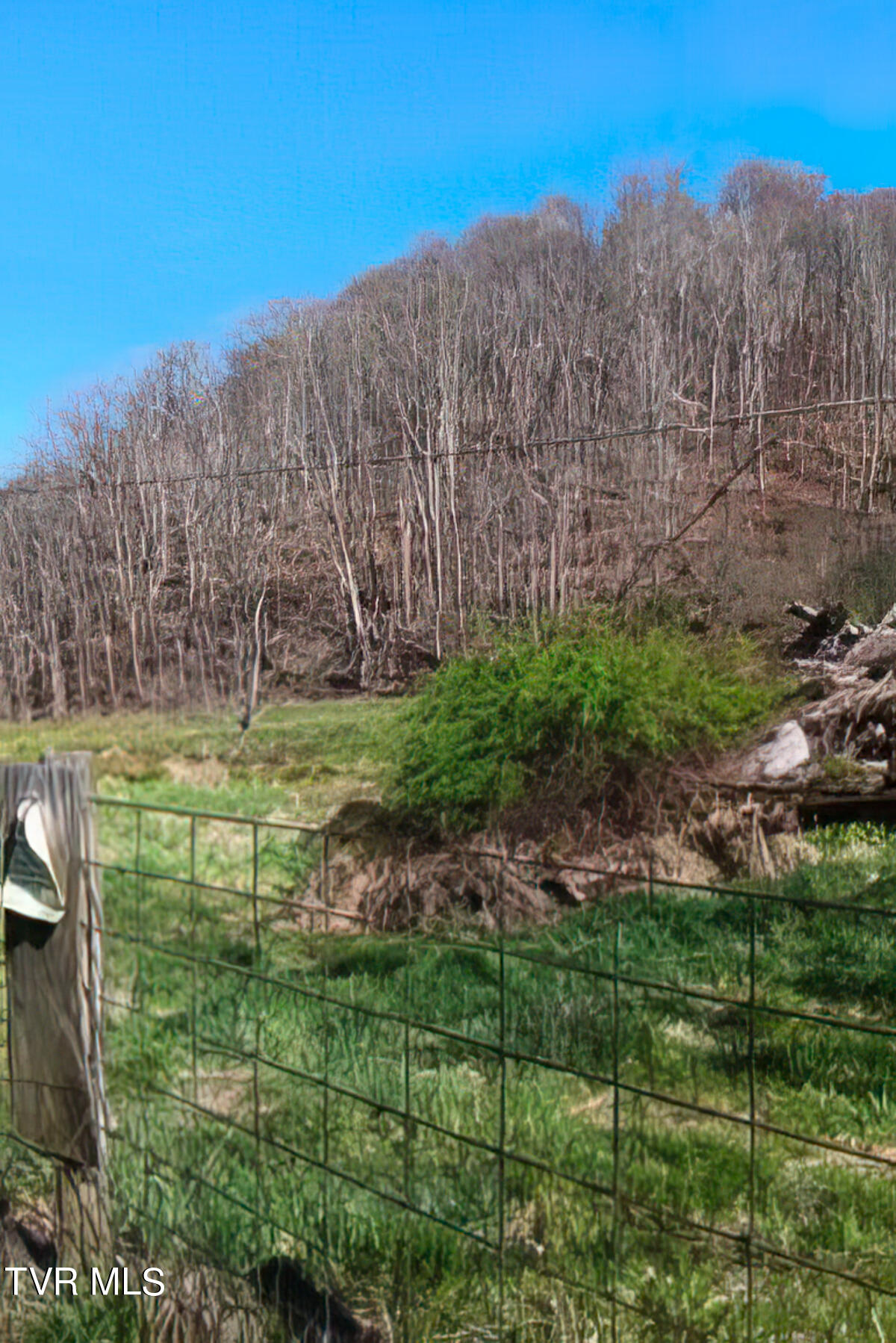 Tbd Miller Road Trade, TN 37691 - Photo 40 of 41 TBD Miller Rd-45