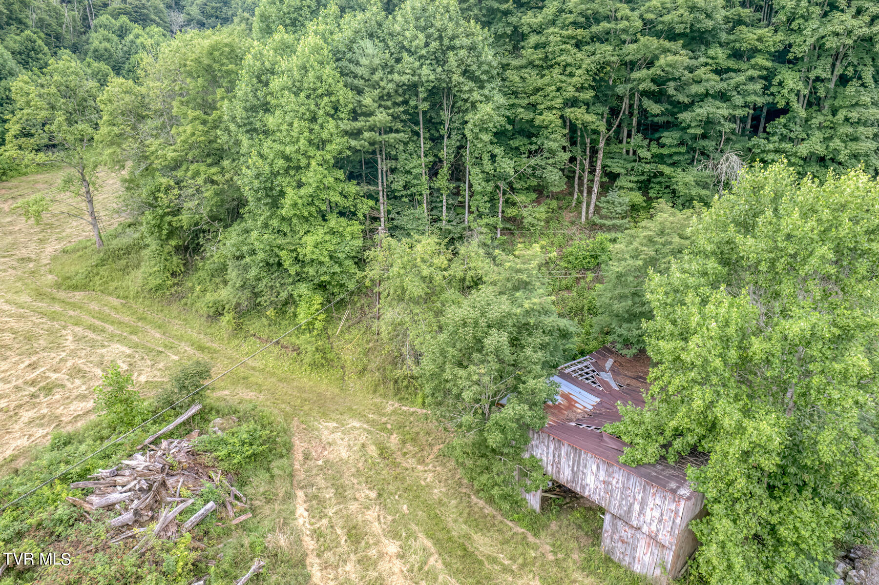 Tbd Miller Road Trade, TN 37691 - Photo 4 of 41 TBD Miller Rd-9
