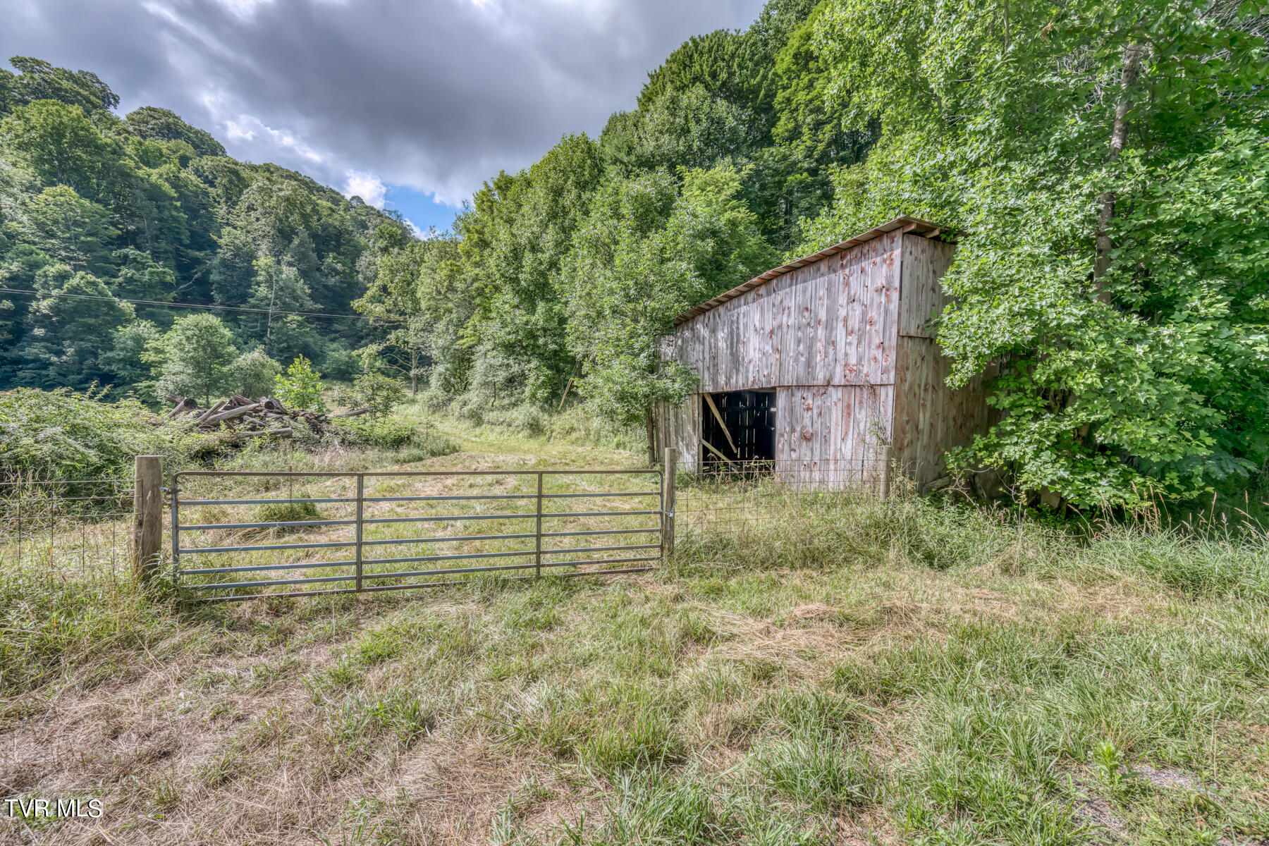 Tbd Miller Road Trade, TN 37691 - Photo 8 of 41 TBD Miller Rd-13