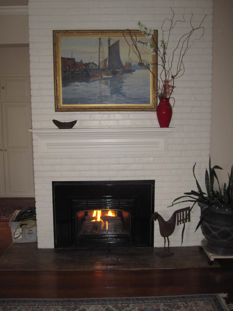 804 Private Road Lewisburg, WV 24901 - Photo 17 of 36 Gas (propane) fireplace