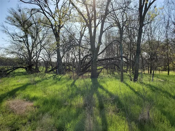 $259,000 | 112 Hcr-2221, Aquilla, TX 76622